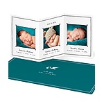 Special Delivery -- Triplet Photo Birth Announcements
