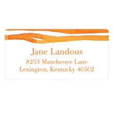 Zestful Stripes -- Trendy Address Labels
