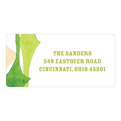 Watercolor Pattern -- Family Return Address Labels