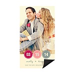 Circling In -- Photo Save the Date Magnets