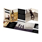 Love Story -- Wedding Save the Date Photo Cards