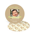 Vintage Owl Pattern -- Photo Adoption Announcement Cards