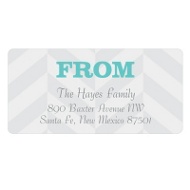 Trendy Chevron Stripes 