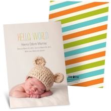 Contemporary Introduction -- Photo Adoption Announcements