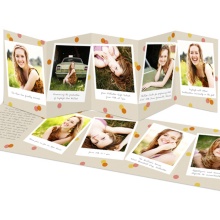 Confetti Snapshots -- Vintage Graduation Invitations