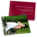 Senior Swirls -- Profile Cards
