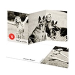 Circle This Year Trifold -- Graduation Thank You Cards