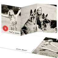 Circle This Year Trifold 