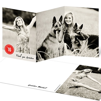 THE GOLDEN TICKET -- BOY PHOTO BIRTH ANNOUNCEMENT, 2in. x 4in. Folded Holiday Card
