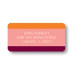 Welcoming Color Block -- Baby Shower Return Address Labels