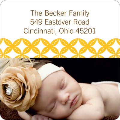 Diamond Border -- Custom Photo Return Address Labels
