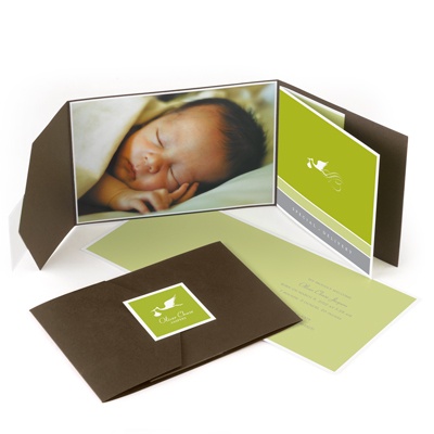 Special Delivery Photo Birth Announcement -- Olive