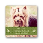 Classic Banner -- Photo Address Labels