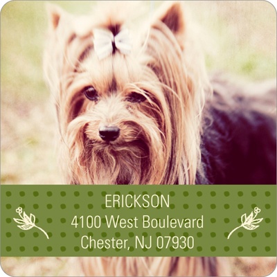 Classic Banner -- Photo Address Labels