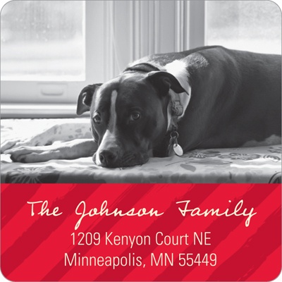 Seasonal Stripes -- Christmas Address Labels