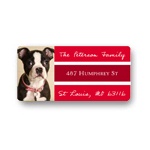 Bordered Bliss -- Photo Return Address Labels