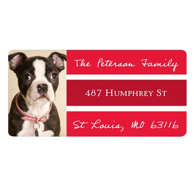Bordered Bliss -- Photo Return Address Labels