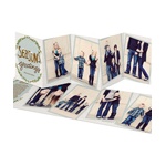 Falling Flakes -- Christmas Cards