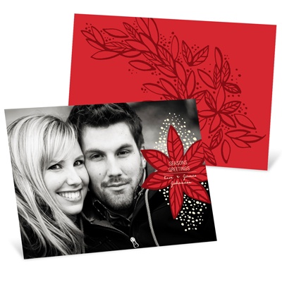 Fresh Poinsettia Horizontal Photo -- Picture Christmas Cards