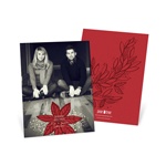 Fresh Poinsettia Vertical Photo -- Poinsettia Christmas Cards
