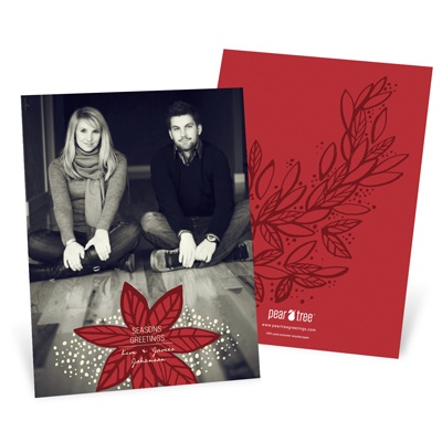 Fresh Poinsettia Vertical Photo -- Poinsettia Christmas Cards