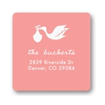 Special Delivery in Pink -- Baby Address Labels