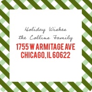 Festive Gingham Border
