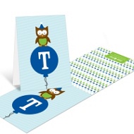 Blue Party Owl 