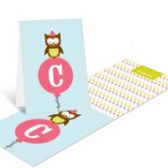 Pink Party Owl 