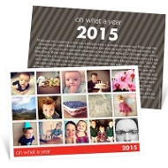 Snapshots of a Year 