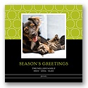 Hugs & Kisses - Lime Photo Holiday Card