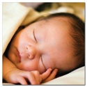 Cozy Close-Up Photo Stickers -- Large