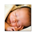 Cozy Close-Up Photo Stickers -- Small