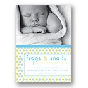 Frogs & Snails -- Photo Birth Announcement