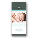 Crowned -- Blue Photo Birth Announcement