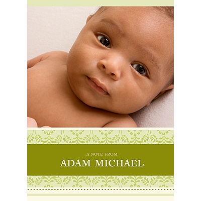 Pretty Stripes -- Green Photo Note Card