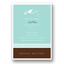 Special Delivery -- Aqua Baby Shower Invitation