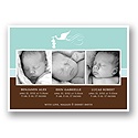 Special Deliveries -- Aqua Triplets Photo Birth Announcement