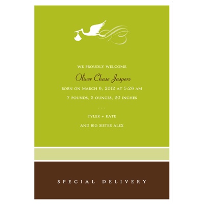 Special Delivery -- Olive Birth Announcement