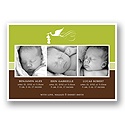 Special Deliveries -- Olive Triplets Photo Birth Announcement