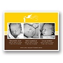 Special Deliveries -- Canary Triplets Photo Birth Announcement