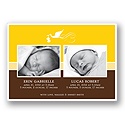 Special Deliveries -- Canary Twins Photo Birth Announcement