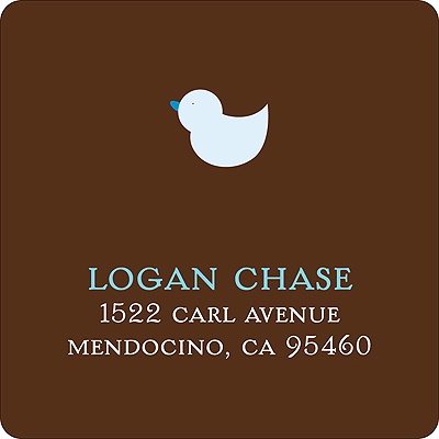 Baby Mobile -- Mocha & Sky Address Label
