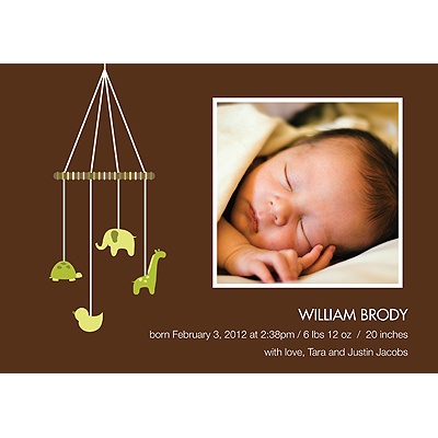 Baby Mobile - Mocha & Olive Photo Birth Announcement