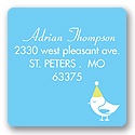 Banner Year -- Sky Address Label