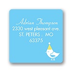 Banner Year -- Sky Address Label