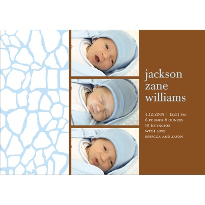 Welcome to the Jungle -- Blue Recycled Photo Birth Announcement