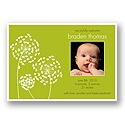 Little Bug -- Olive Recycled Photo Birth Announcement