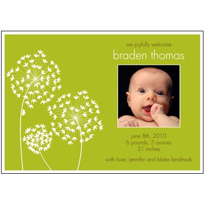 Little Bug -- Olive Recycled Photo Birth Announcement