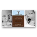Double the Love -- Blue Twins Photo Birth Announcement